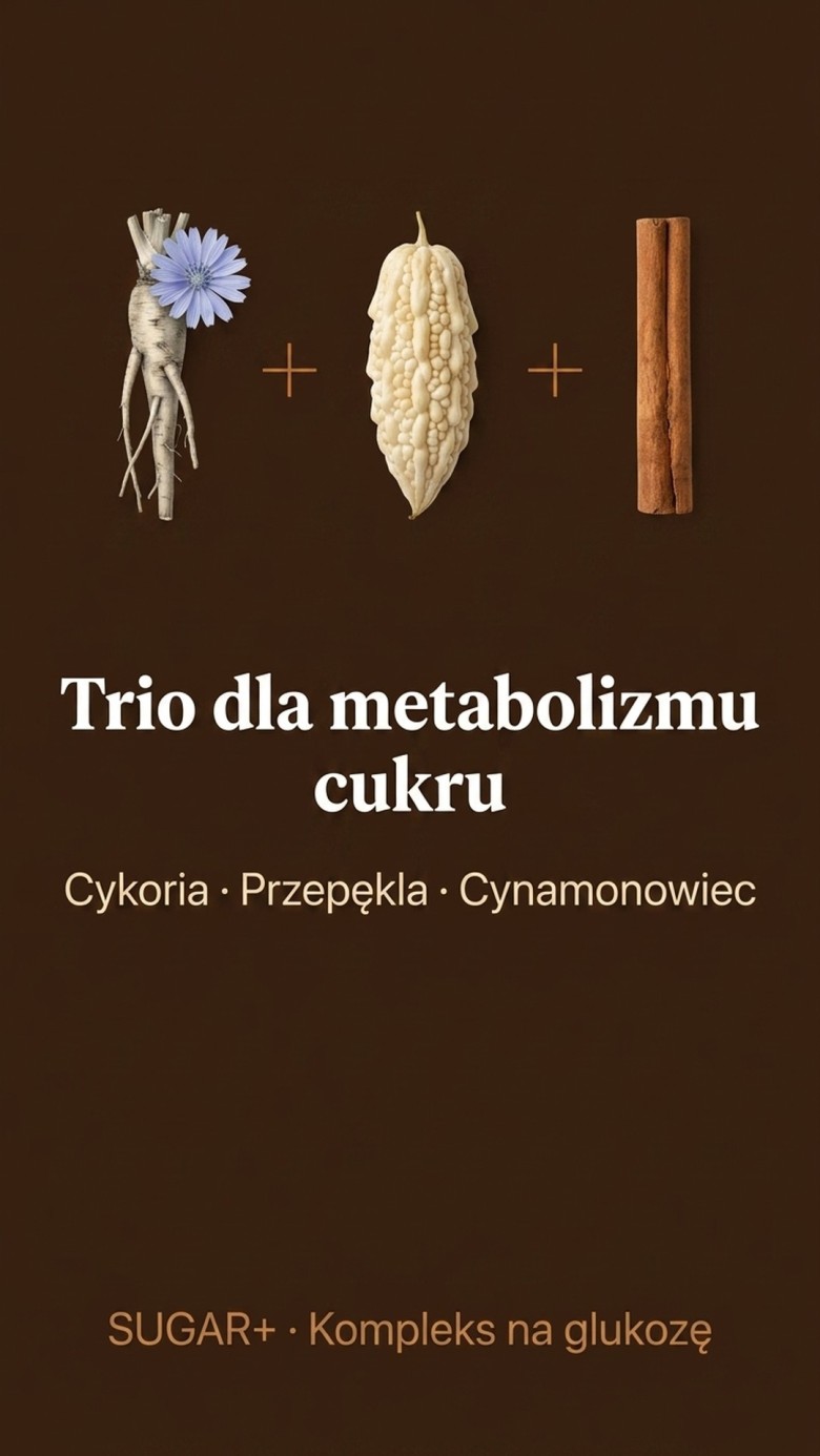 Sugar+ - Cykoria + Przepękla + Cynamonowiec na prawidłowy metabolizm cukru