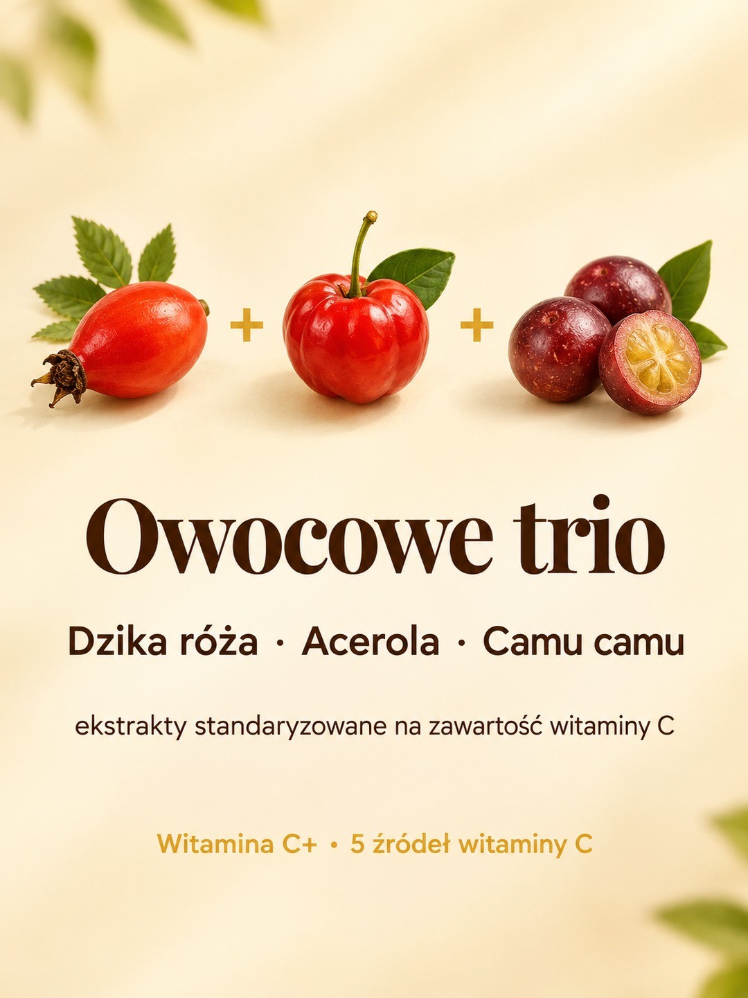 Dla kogo Witamina C+