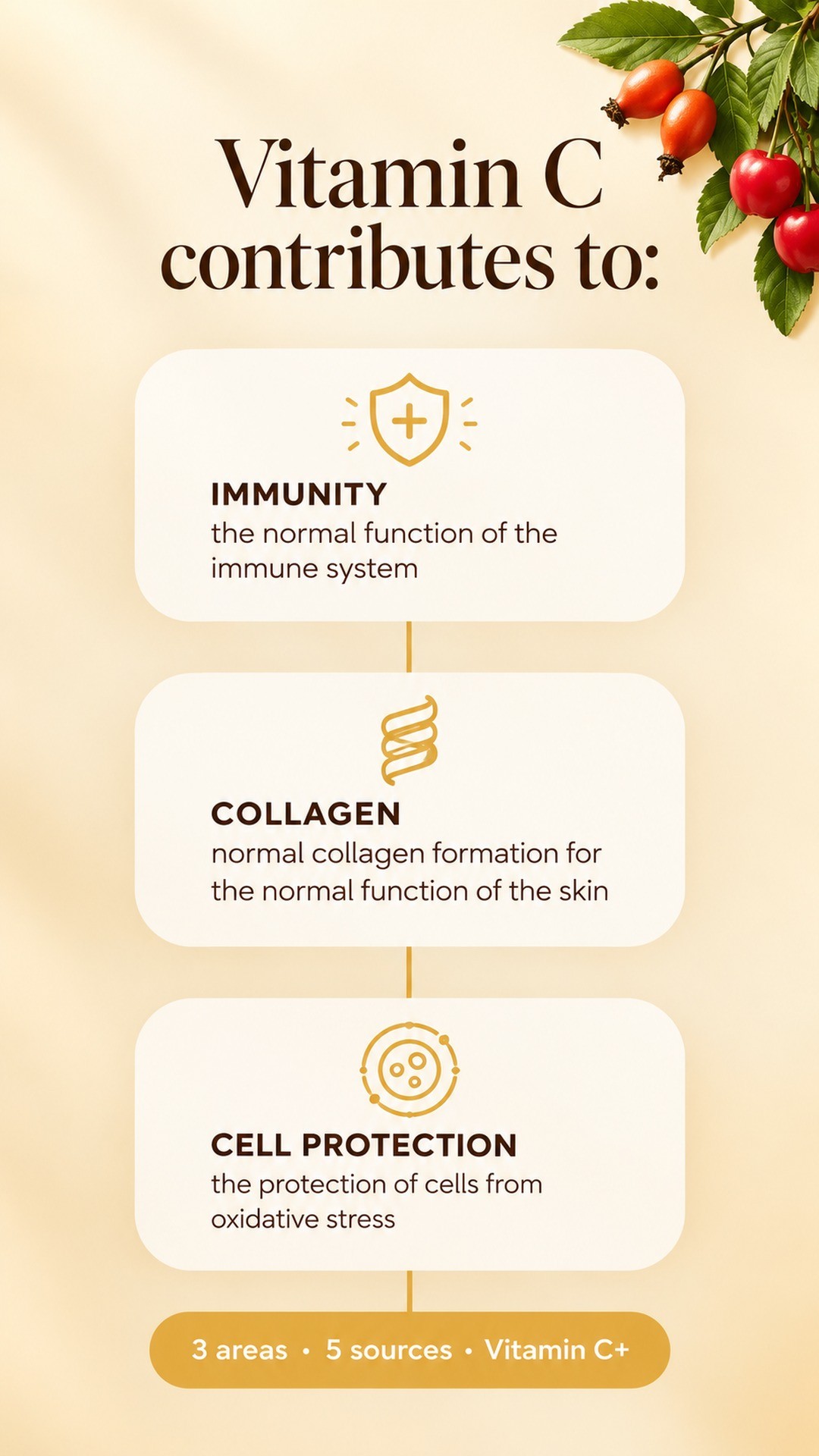 Vitamin C+ - Rosehip, Acerola and Camu Camu for Immunity and Collagen — story 2