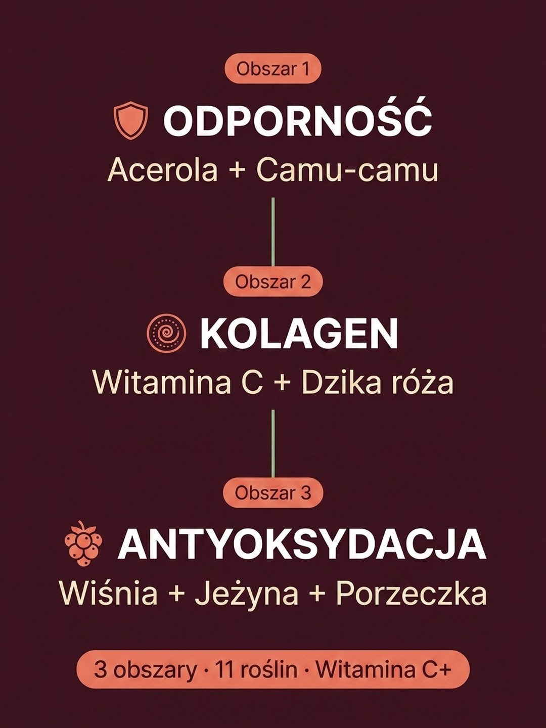 Dla kogo Witamina C+