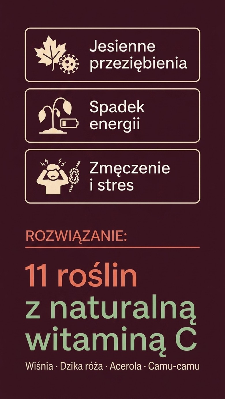 Witamina C+ - Wiśnia + Dzika róża + Acerola - naturalna witamina C