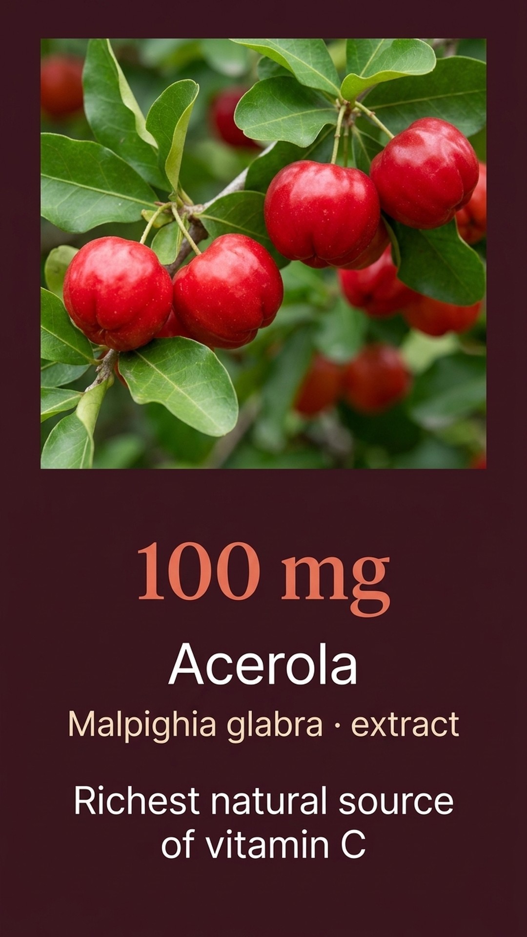 Who is Vitamin C+ for?