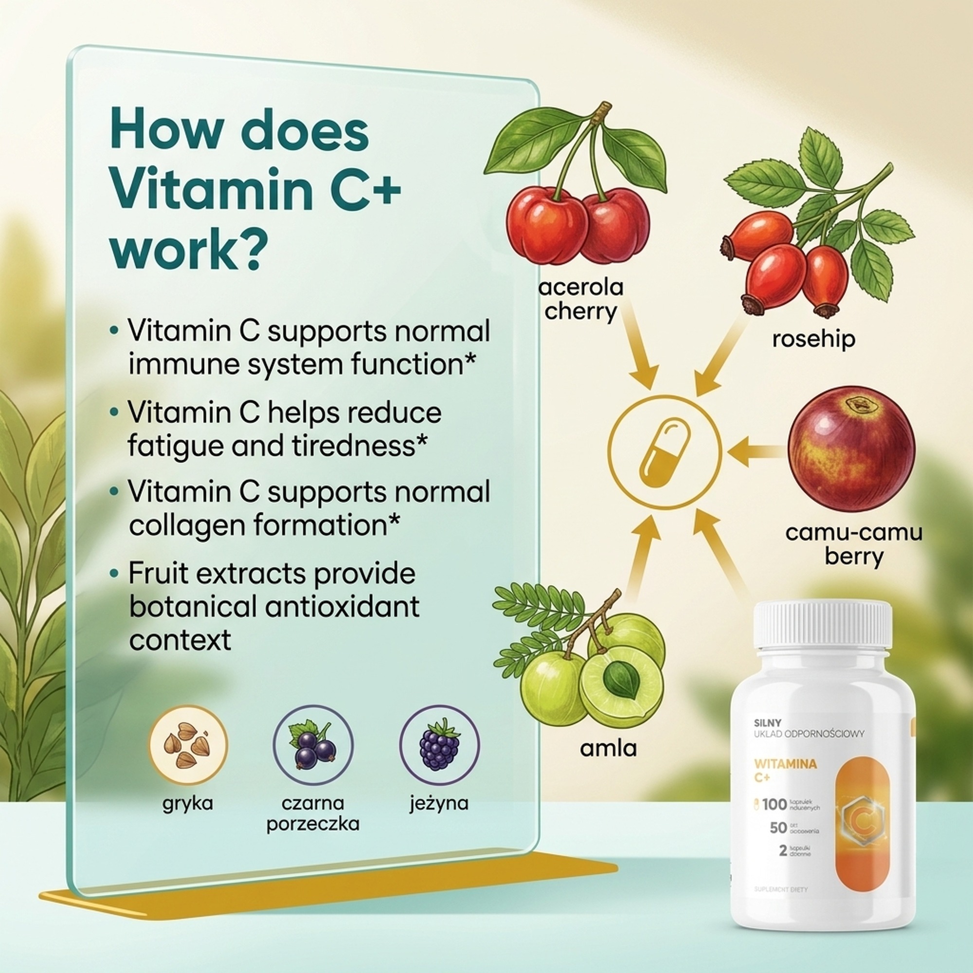 Vitamin C+ - Cherry, Rosehip and Acerola for Immunity and Collagen