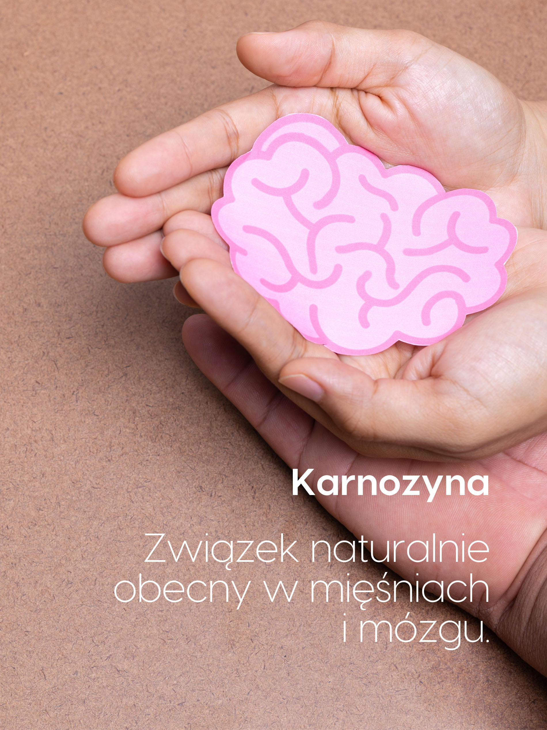 Dla kogo L-Karnozyna+