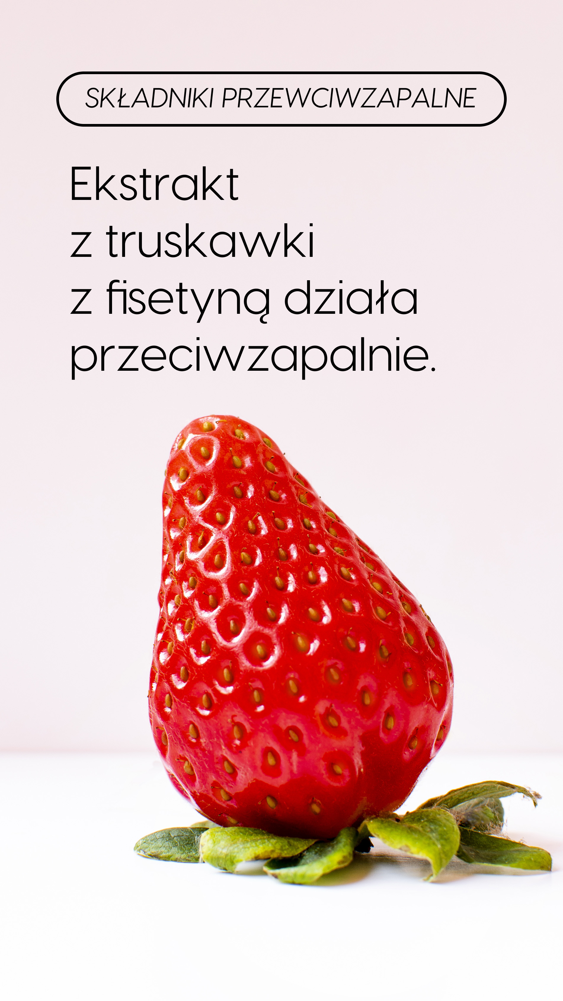 L-Karnozyna+ - Karnozyna 400mg + Fisetyna + Koenzym Q10 na anty-aging — story 5