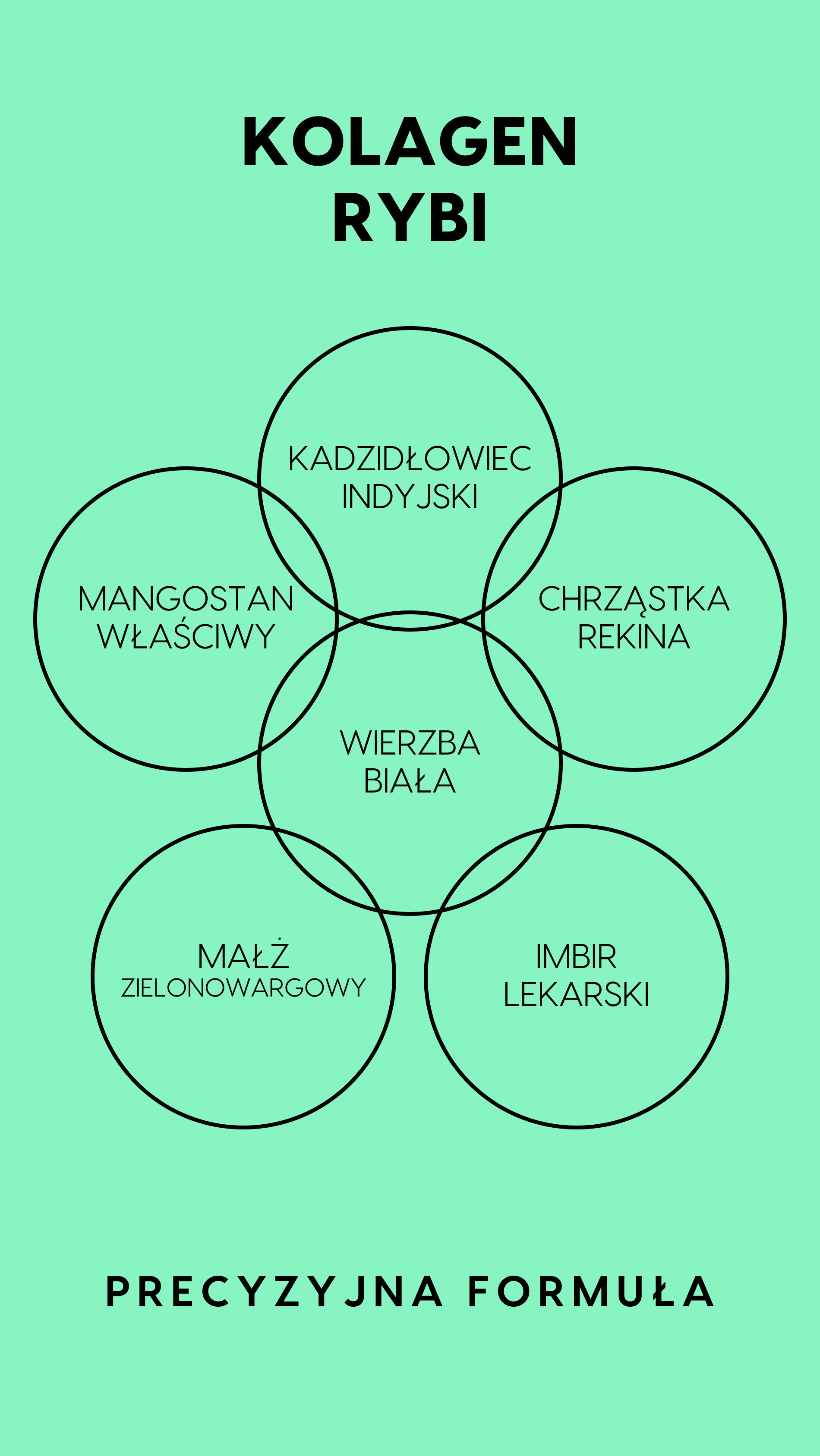 Flexpain+ - Wierzba biała + Kadzidłowiec + Mangostan na zdrowe stawy — story 2
