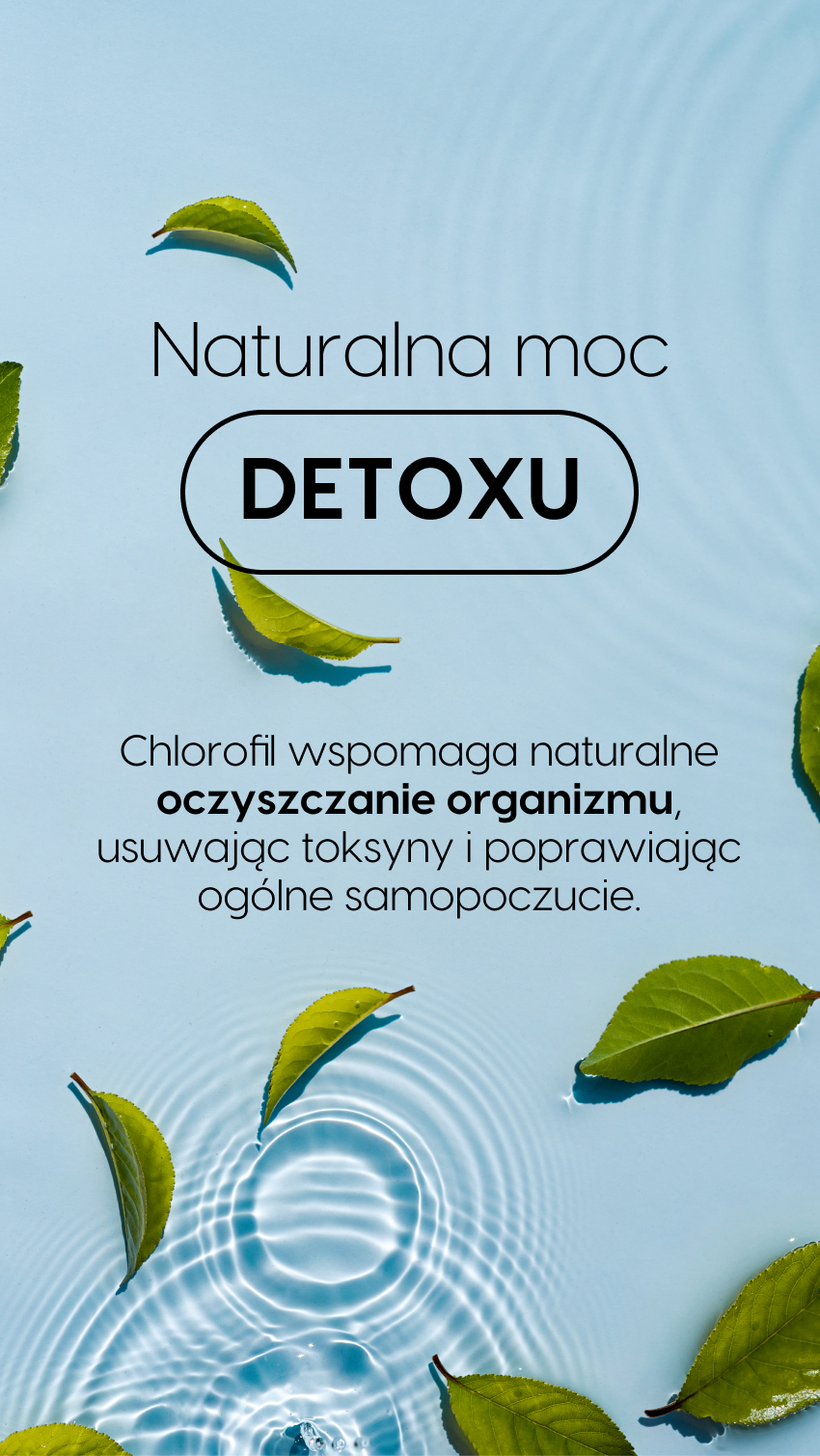 Dla kogo Chlorofil Liposom+